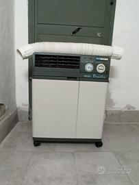 Condizionatore pinguino delonghi