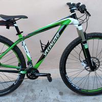 bicicletta MTB Specialized misura 29