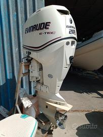 evinrude 200 e tec anno 2012 con 248 ore