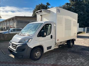FIAT DUCATO CON CELLA gruppo frigo ZANOTTI!
