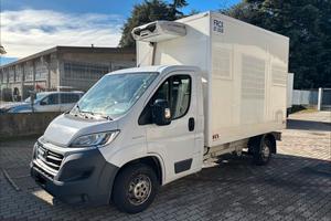 FIAT DUCATO CON CELLA gruppo frigo ZANOTTI!