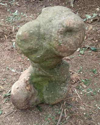 Sasso da giardino
