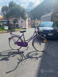 Bici da passeggio 50