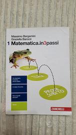 Matematica in 3passi Massimo Bergamini
Graziella B