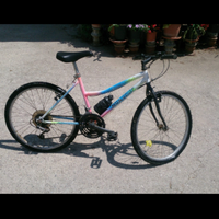 Mountain bike donna 24 pollici