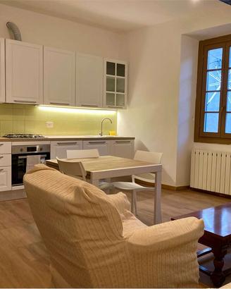 Angera - bilocale arredato in centro con box