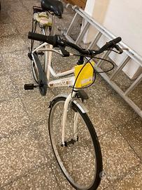 Bicicletta da donna 