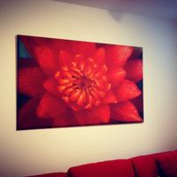Stampa su tela 138 x 88