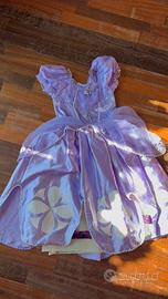 Vestito carnevale