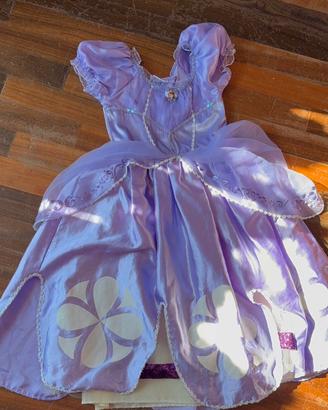 Vestito carnevale