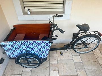 Bicicletta 3 ruote