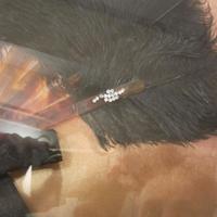 Ventaglio antico piume