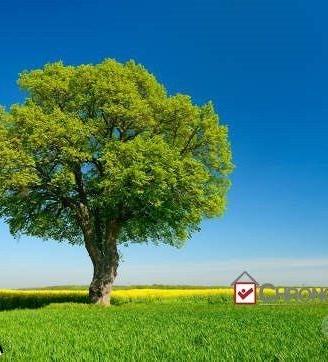 Terreno agricolo a Piano Torre