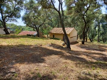 Trattativa di vendita