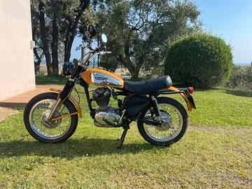 Ducati 250 scrambler