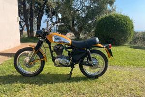 Ducati 250 scrambler