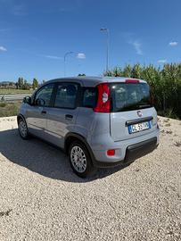Fiat Panda 1.0 FireFly S&S Hybrid City Cross