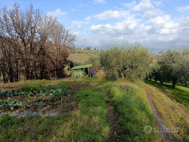 Vendita terreno agricolo