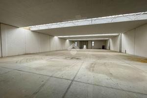 CAPANNONE A OLGIATE MOLGORA