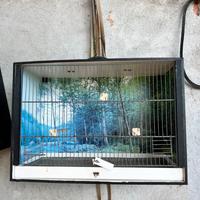 GABBIE PER UCCELLINI