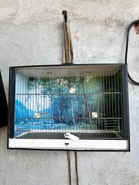 GABBIE PER UCCELLINI