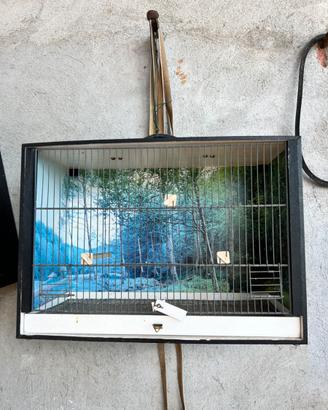 GABBIE PER UCCELLINI