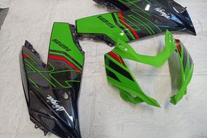 Carene Kawasaki Ninja 125