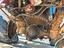 Immagine 5