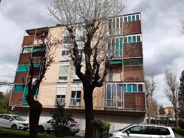 Camere per studenti zona Massarenti