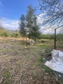 TER. AGRICOLO A CASAMARCIANO