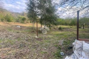 TER. AGRICOLO A CASAMARCIANO