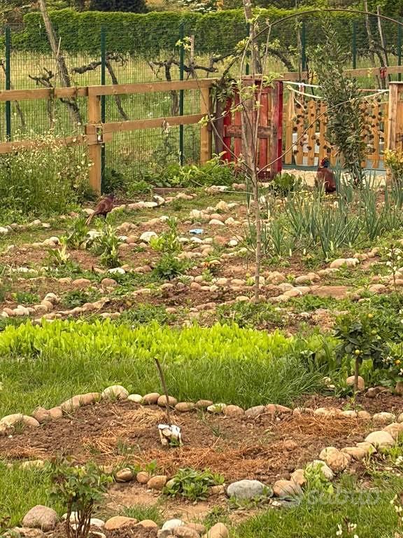 Terreno di 140 m² a Verona - Altro