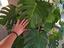 Immagine 3