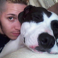 Dogsiter