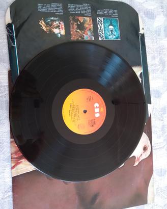 Dischi LP 33 vinile doppi