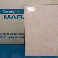 Piastrelle in ceramica per rivestimento
