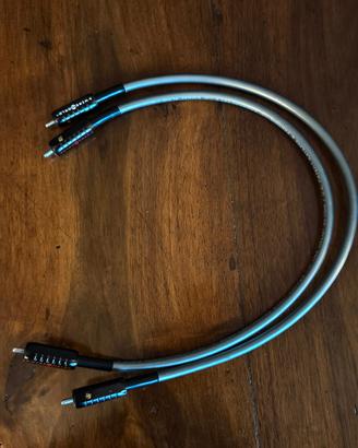 Wireworld Equinox 7 RCA 0,5m