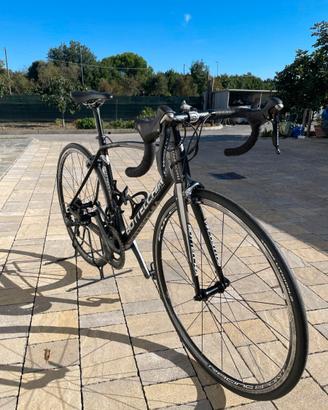 BOTTECCHIA 8AVIO EVO
