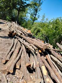 Legna da ardere carpino nero e faggio