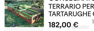 Terraio per tartarughe 