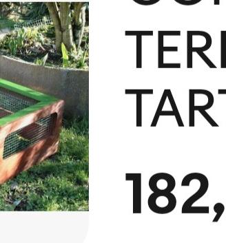 Terraio per tartarughe 
