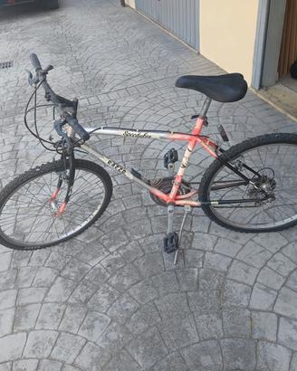 Mountain bike Razzo 