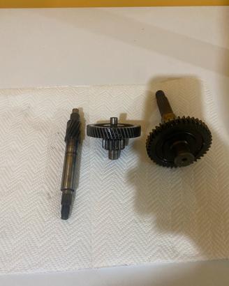 Rapporti primari e secondari minarelli