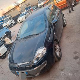 fiat punto 