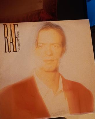 disco in vinile 