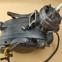 beta squirrel 50cc a liquido 4 marcie