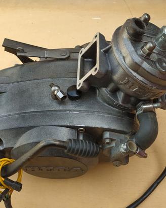 beta squirrel 50cc a liquido 4 marcie