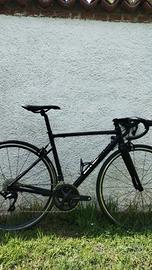 bici da corsa edr af 105