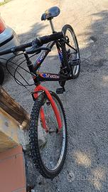 bicicletta 26