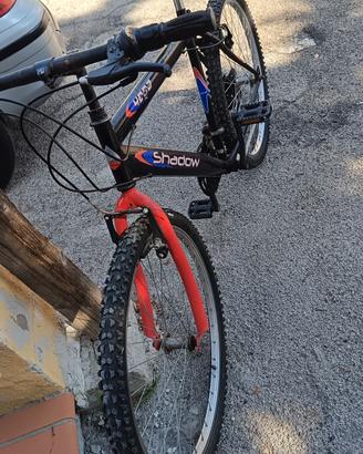 bicicletta 26